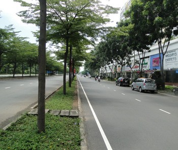 Lease beauty salon Phu My