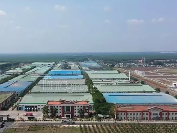 Plant for rent Bau Xeo