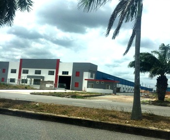 Plant for rent Ho Chi Minh