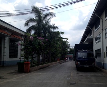 Plant for rent Can Gio