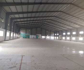 Plant for rent Ho Chi Minh