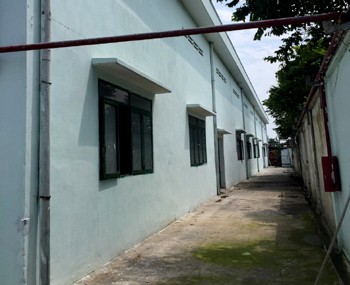 Plant for rent district 3