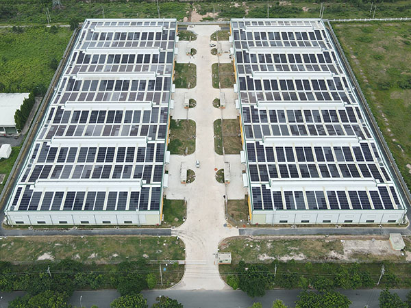 Plant for rent highway