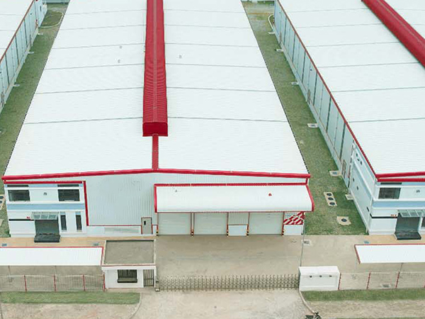 Plant for rent Tan Thanh