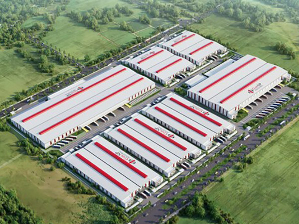 Plant for rent Tan Thanh