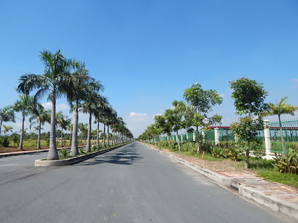 Depot for rent Phuc Long